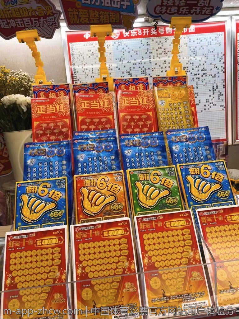 中国体育彩票官方网站用户体验分享